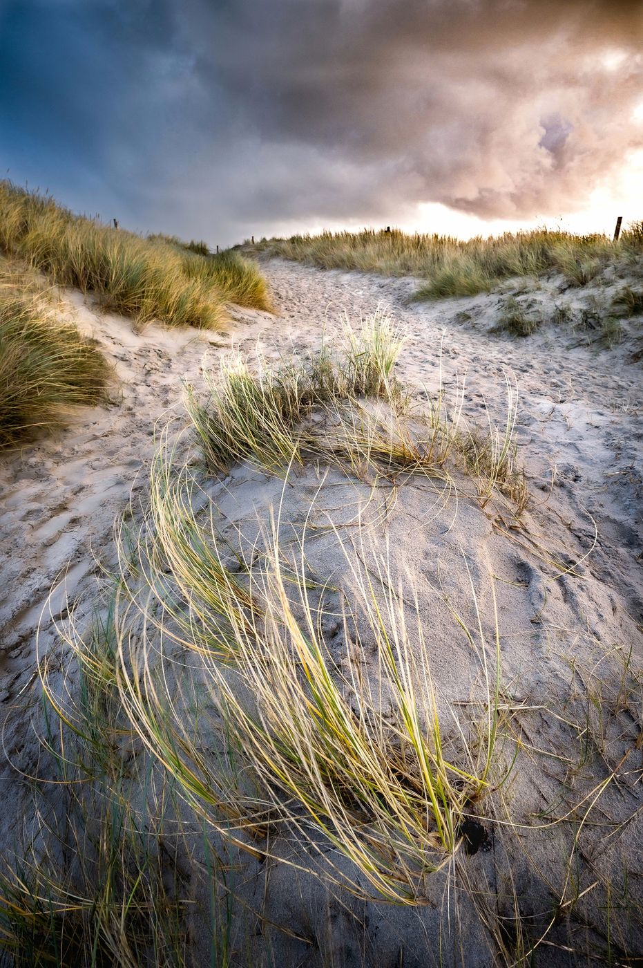 Dunes St. Peter Ording Beach, Germany