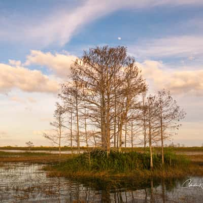 Everglades National Park - Eastern side, USA