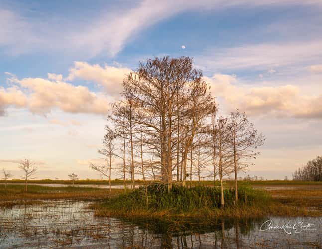Everglades National Park - Eastern side