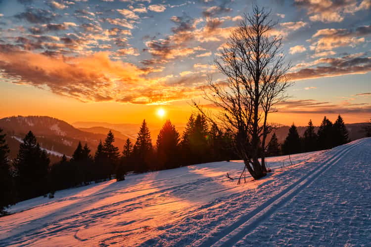 Feldberg Hiking Trail, Black Forest