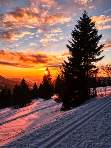 Feldberg Hiking Trail, Black Forest