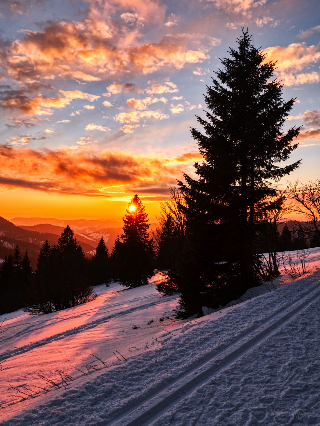 Feldberg Hiking Trail, Black Forest, Germany