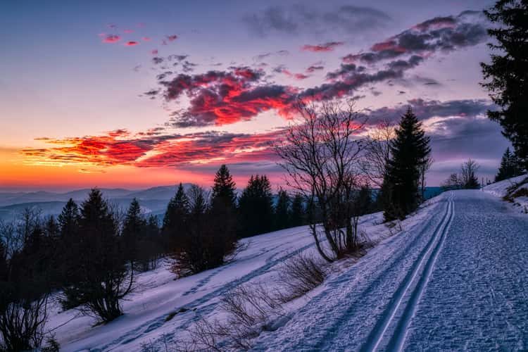 Feldberg Hiking Trail, Black Forest
