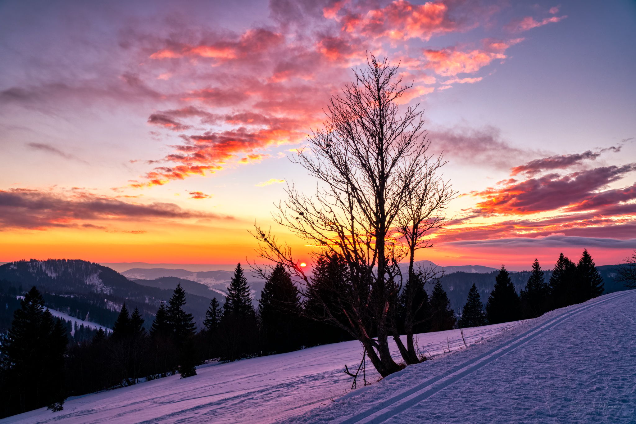 Feldberg Hiking Trail, Black Forest, Germany