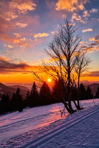 Feldberg Hiking Trail, Black Forest