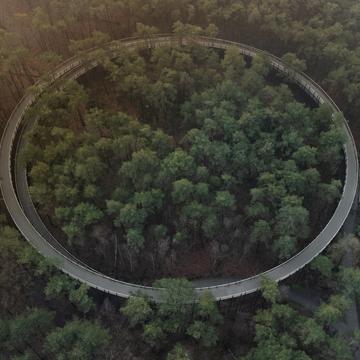 Fietsen Door De Bomen (Cycling through the Trees) [Drone], Belgium