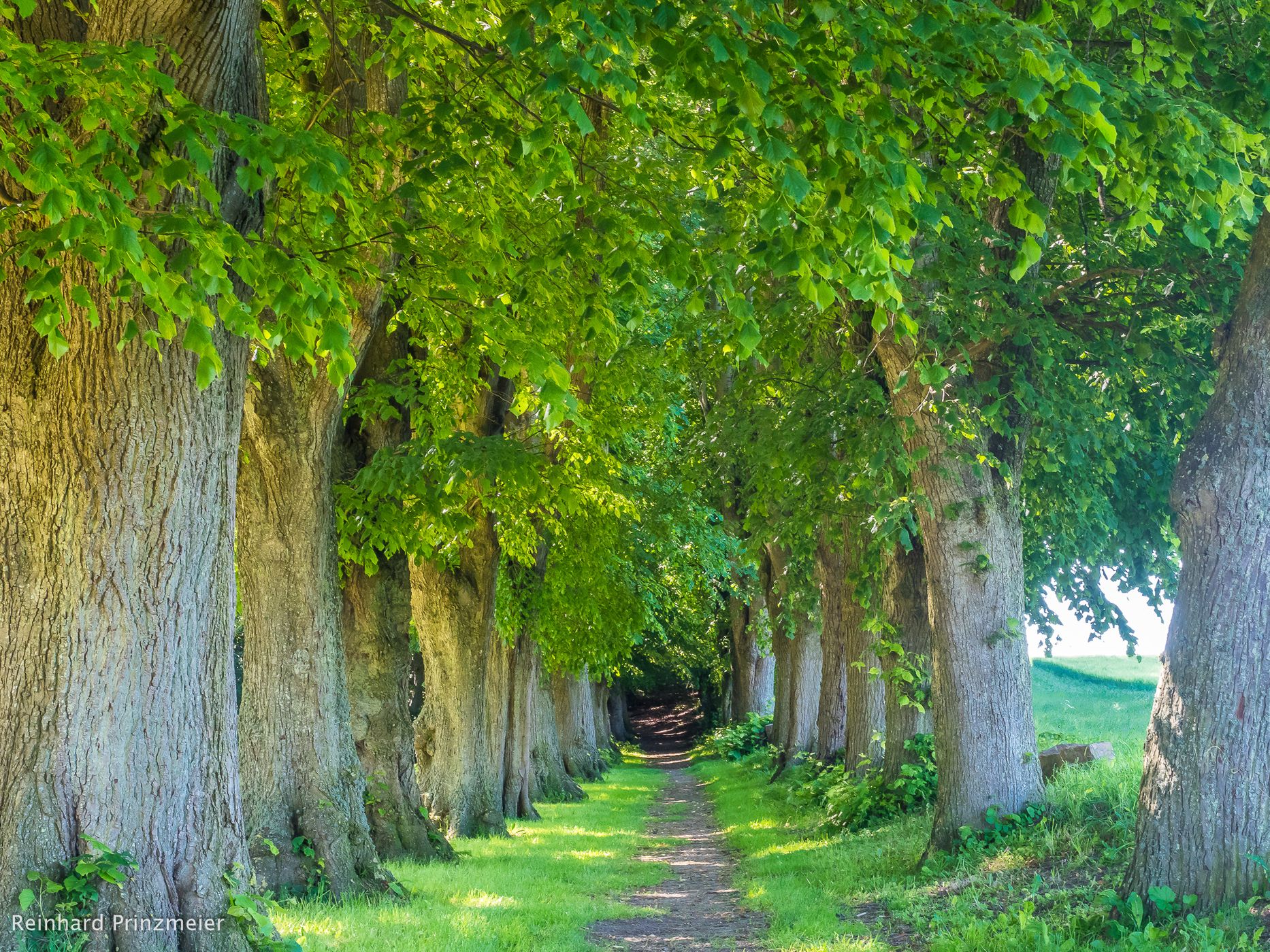 Glavendrup Stone, Denmark