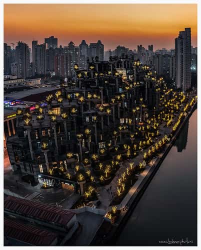 1,000 Trees, Shanghai