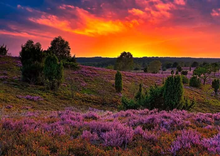 Hermann-Löhns-Weg, Lüneburg Heath