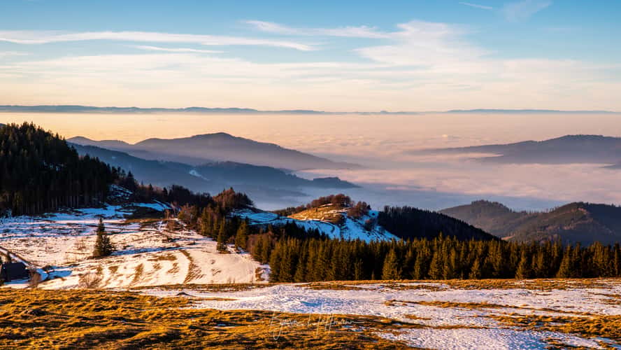 Hinterwaldkopf, Black Forest