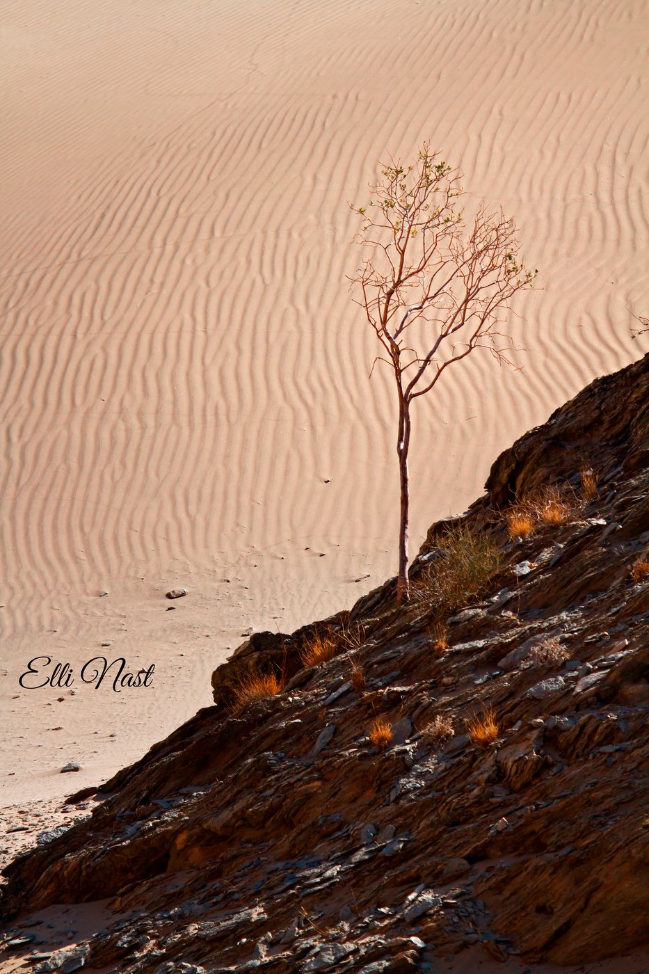 Hoanib, Namibia
