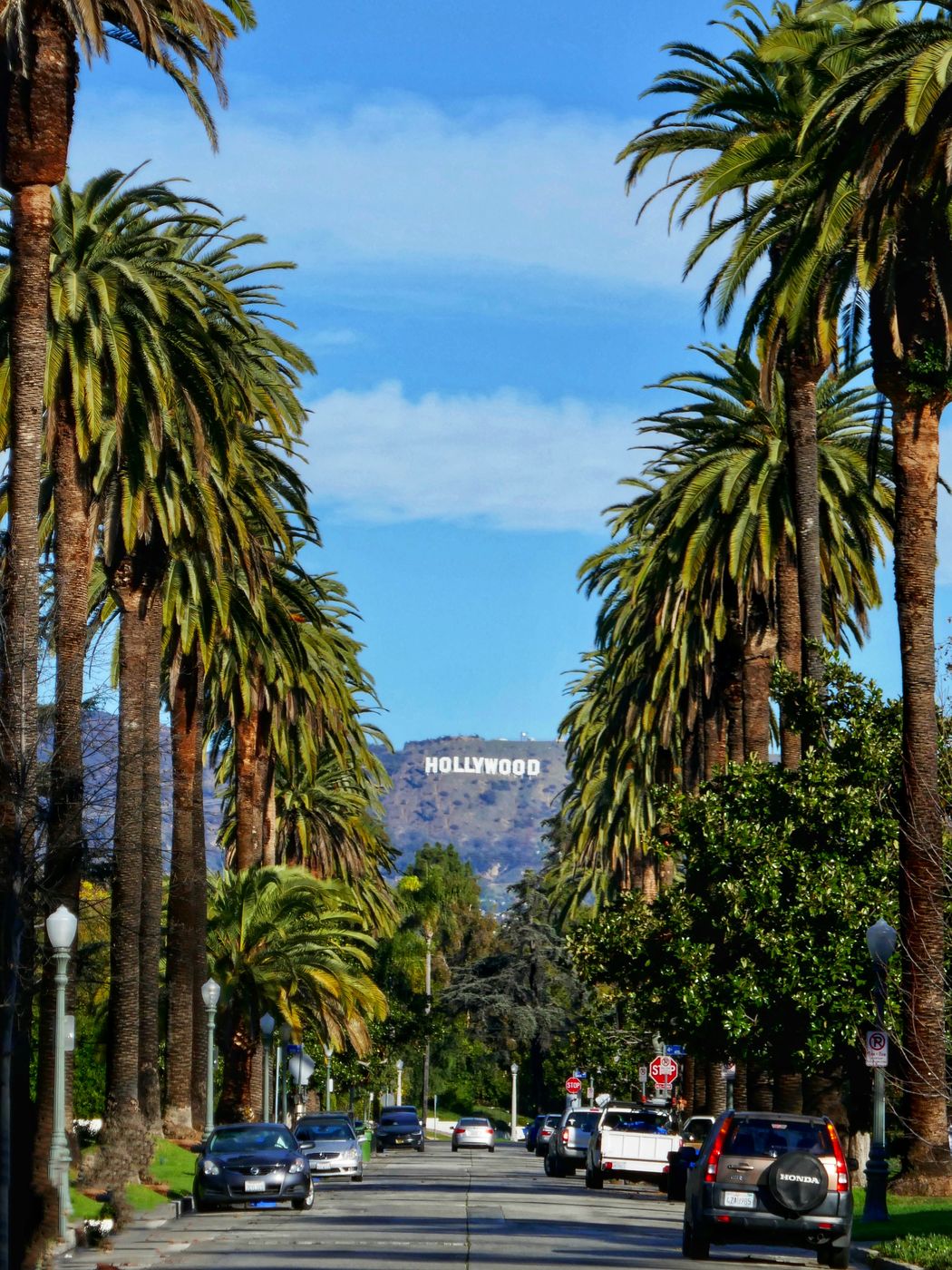 Hollywood Sign and Palm Trees, USA