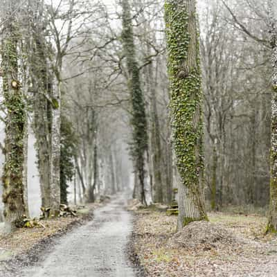 Ille et Rance Canal, France