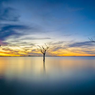 Lake Bonney, Australia