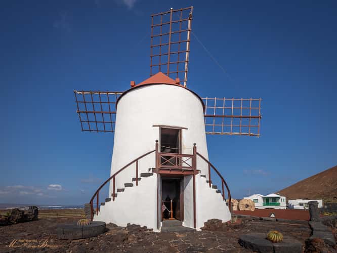 Jardín de Cactus, Lanzarote