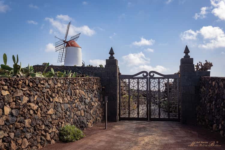Jardín de Cactus, Lanzarote