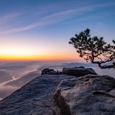Lilienstein - Wetterkiefer, Germany