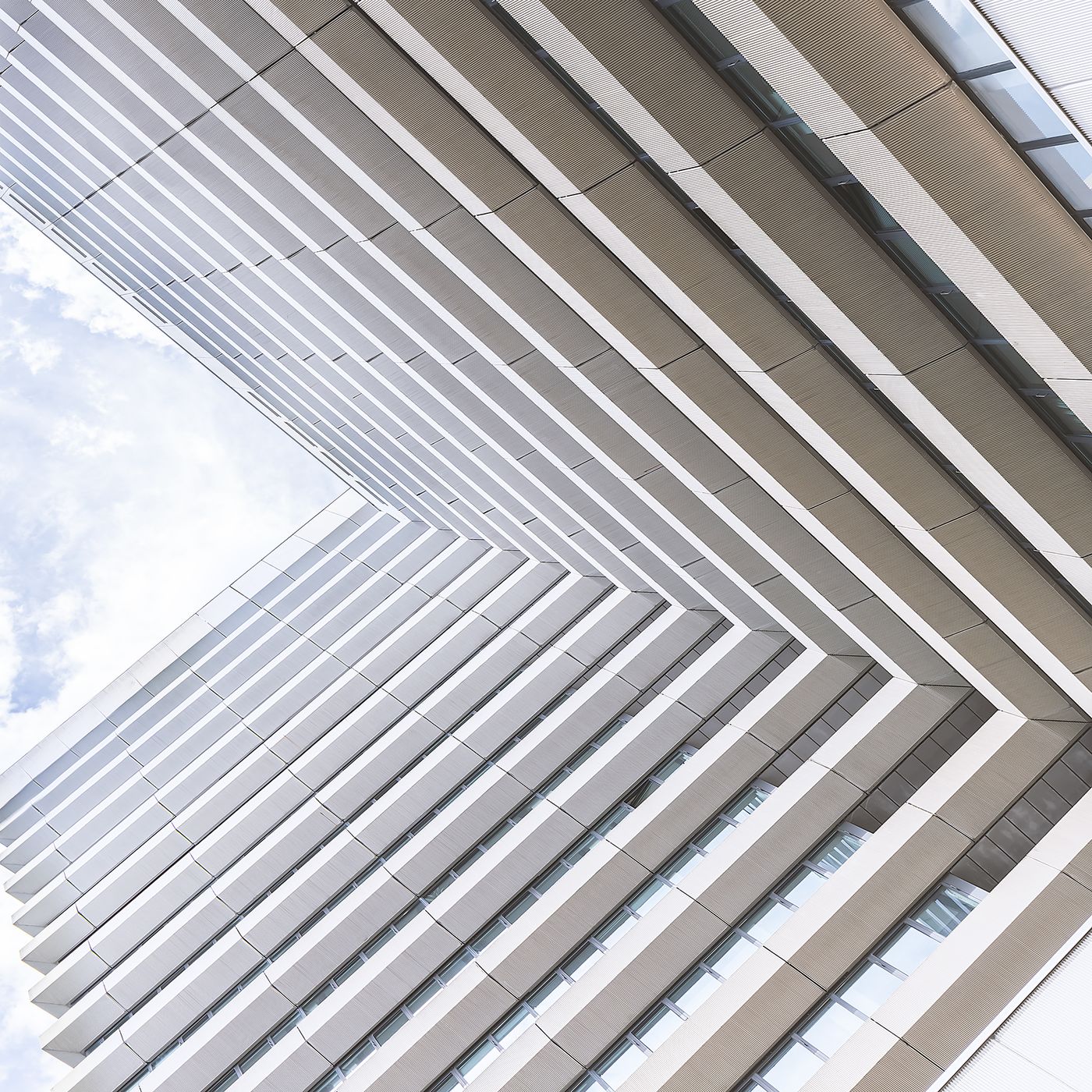 Lines & Look Up Munich, Germany