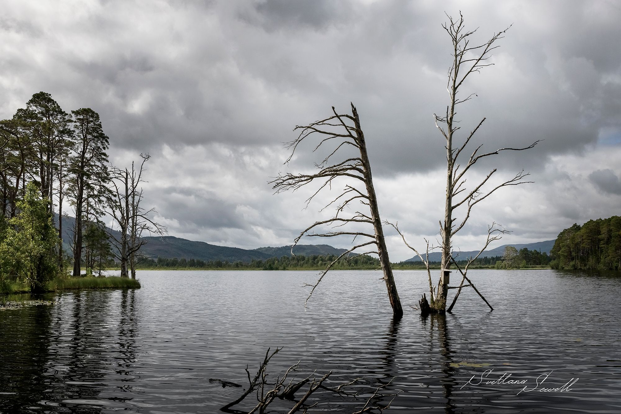 Loch Garten, United Kingdom