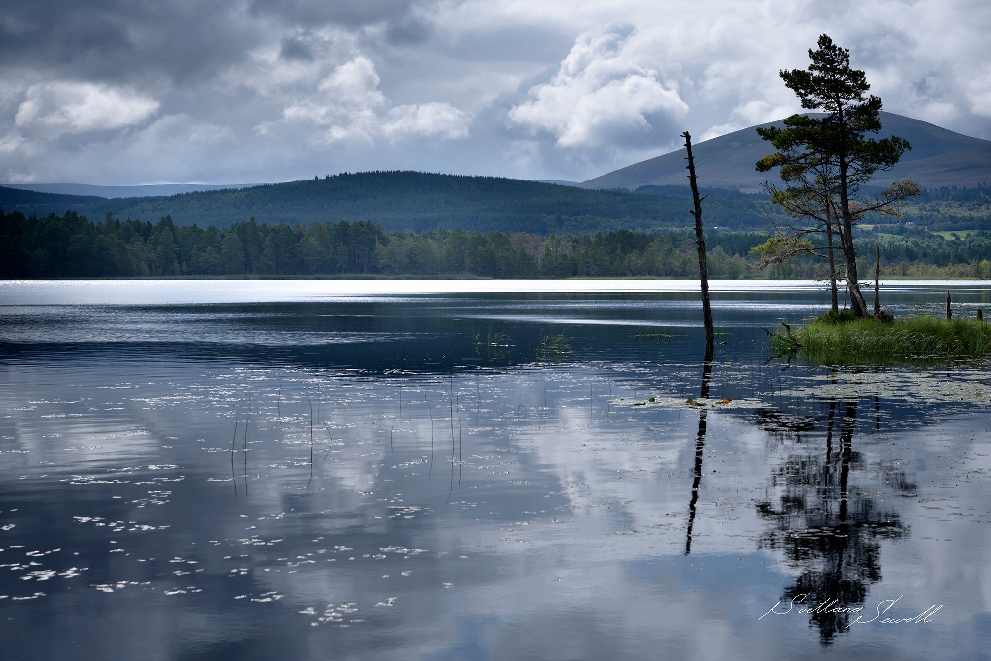 Loch Garten, United Kingdom