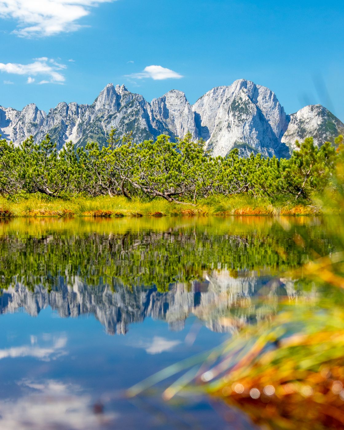 Löckermoos und Löckersee, Austria