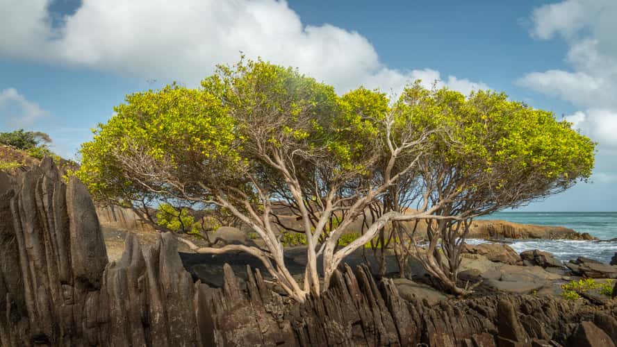 Northern Tip of mainland Australia
