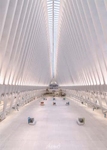 Oculus