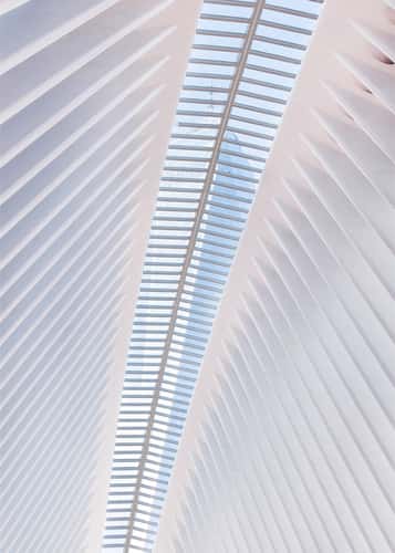 Oculus