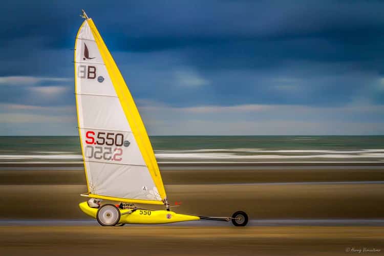 Perroquet (De Panne)