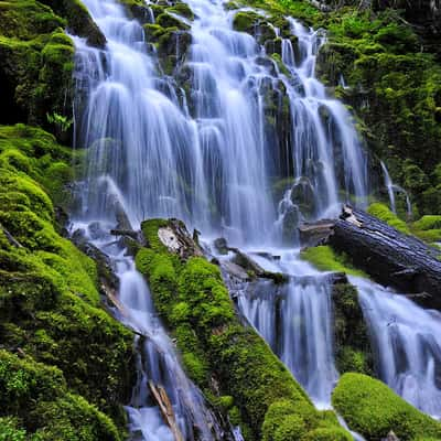 Proxy Falls, USA