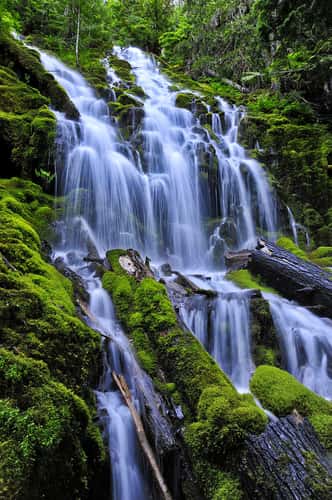 Proxy Falls