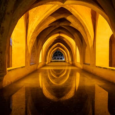 Real Alcazar, Seville, Spain