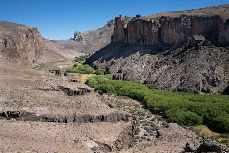 Rio pinturas