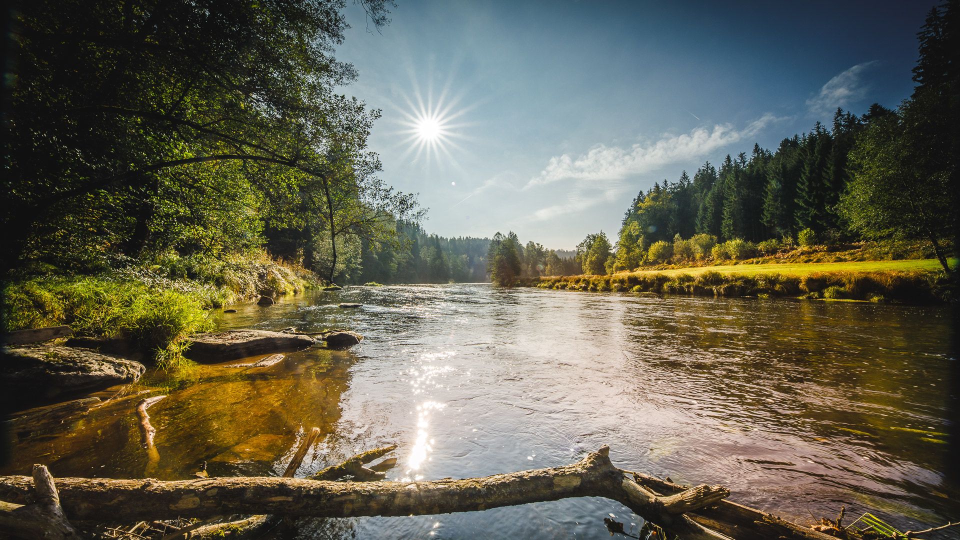 River 'schwarzer Regen' near Teisnach-Bavarian Forest, Germany