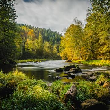 River 'schwarzer Regen' near Teisnach-Bavarian Forest, Germany