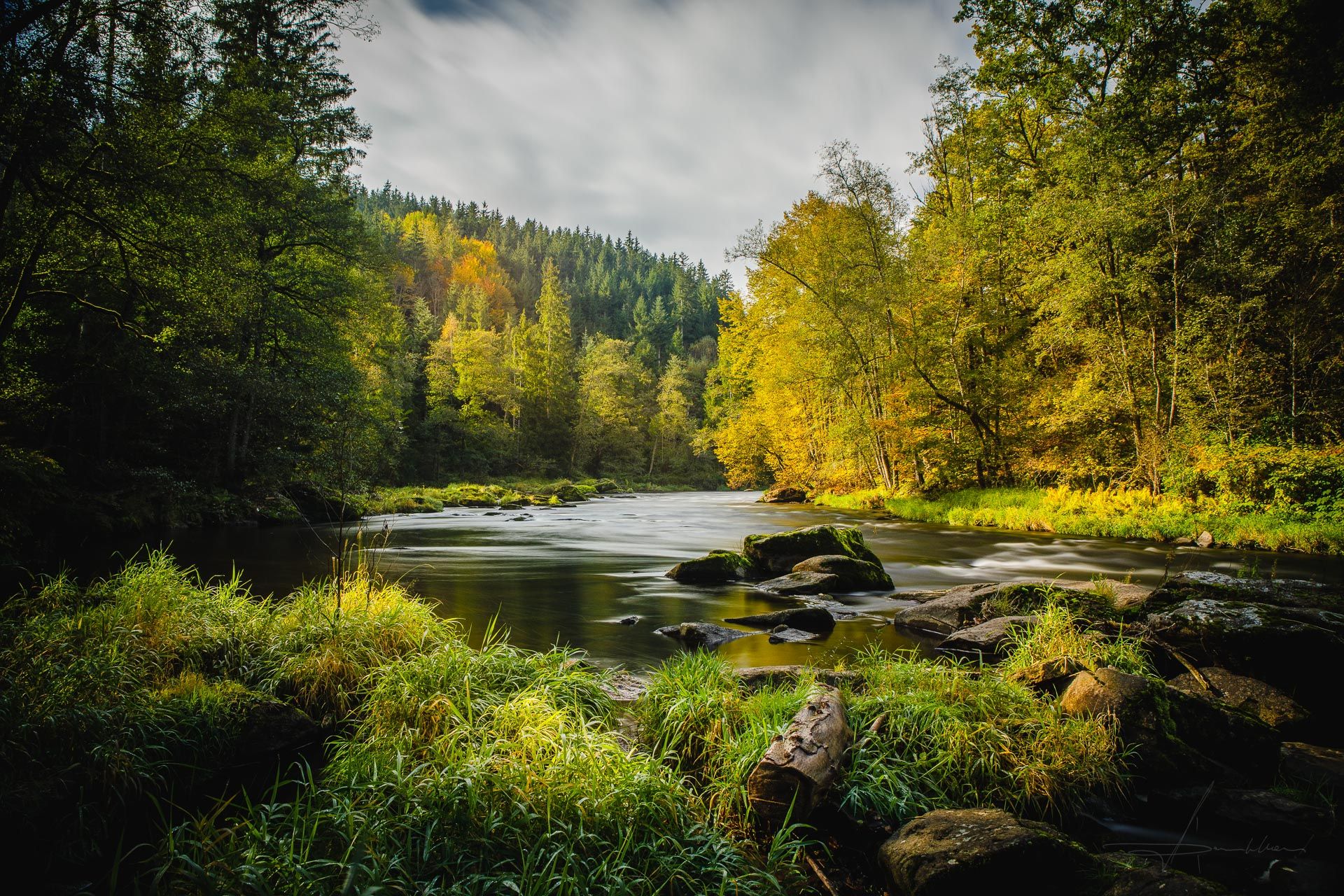 River 'schwarzer Regen' near Teisnach-Bavarian Forest, Germany
