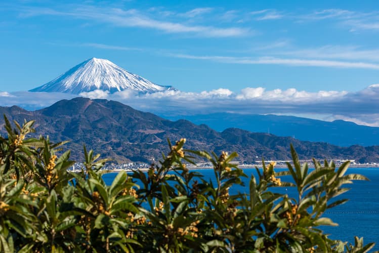 Satta Pass towards Mt. Fuji, Shizuoka