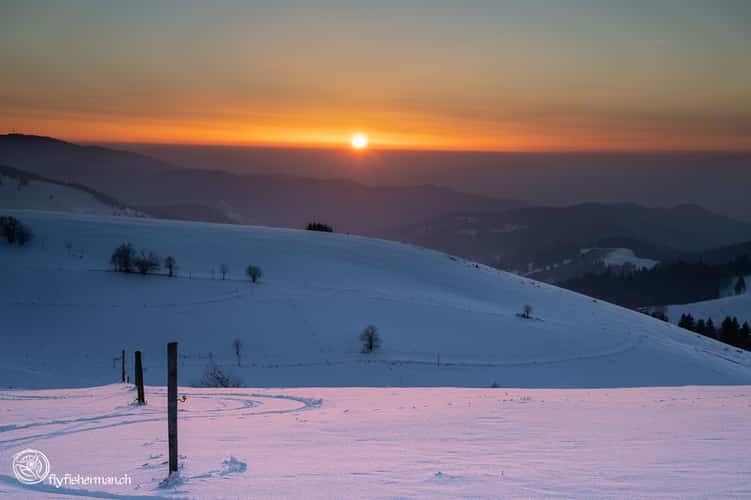Schauinsland Wetterbuchen
