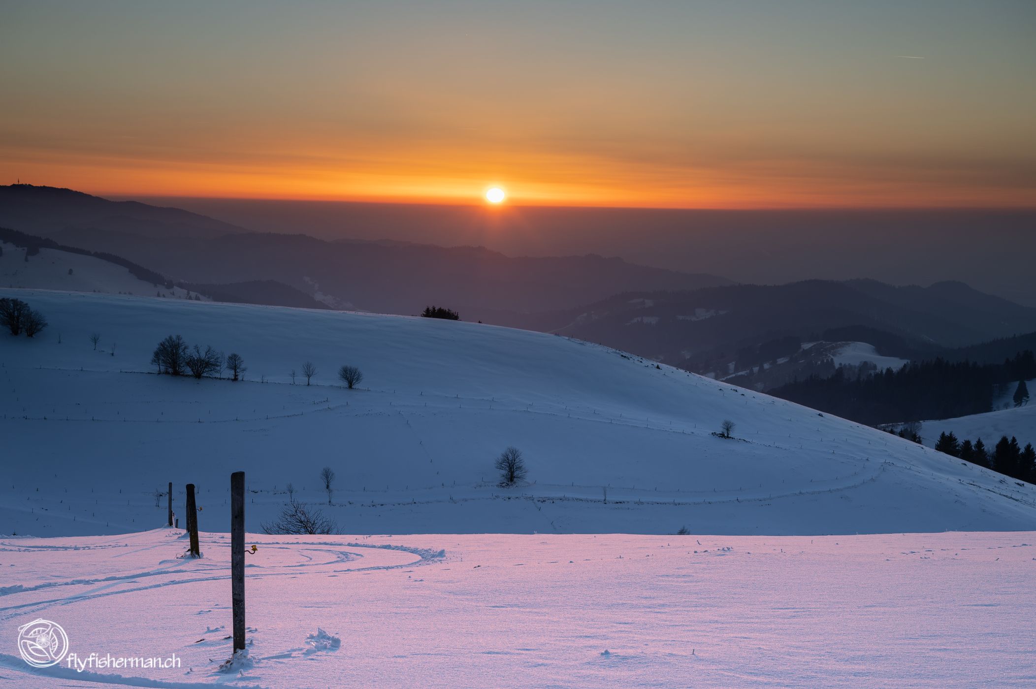 Schauinsland Wetterbuchen, Germany