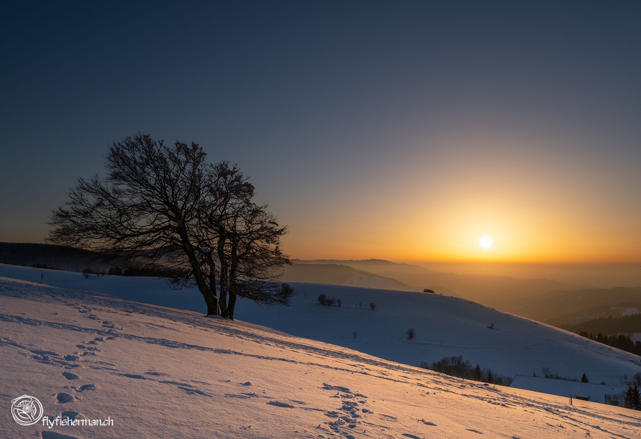 Schauinsland Wetterbuchen, Germany