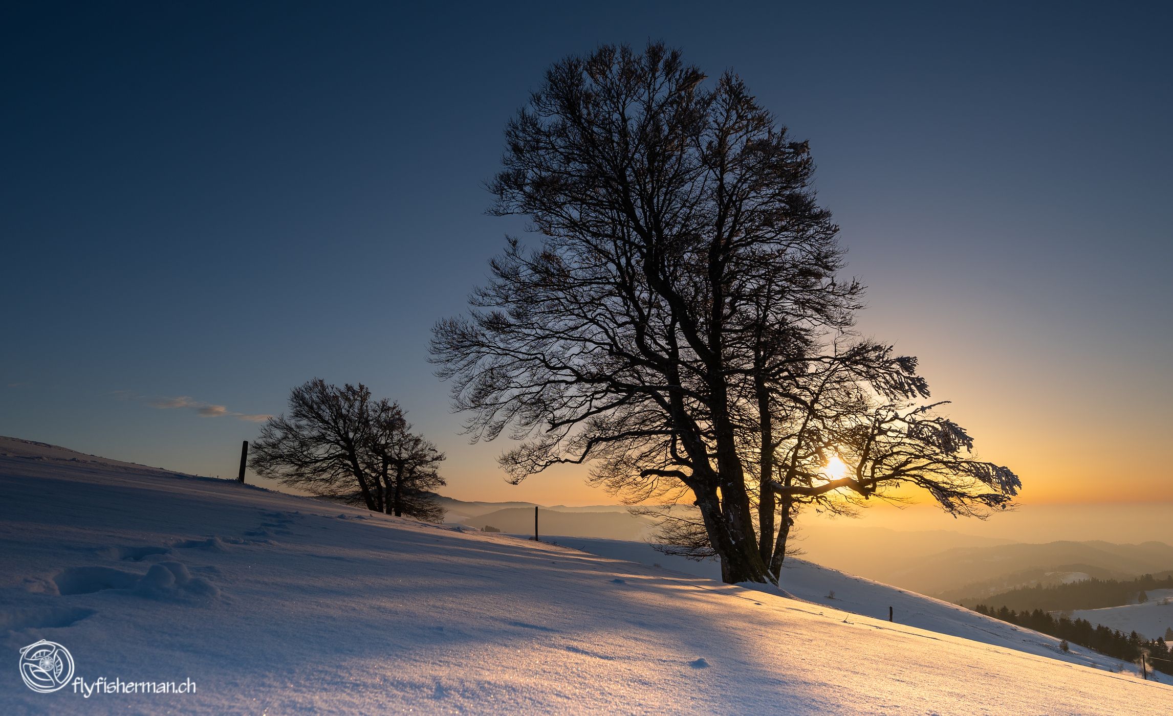 Schauinsland Wetterbuchen, Germany
