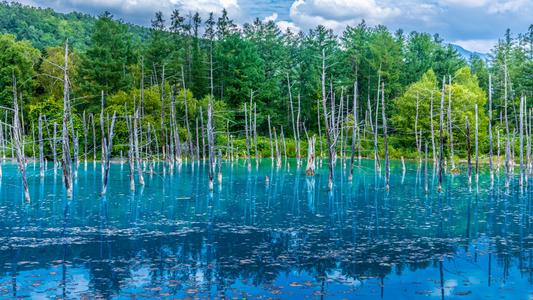 Shirogane Blue Pond, Biei, Hokkaido, Japan