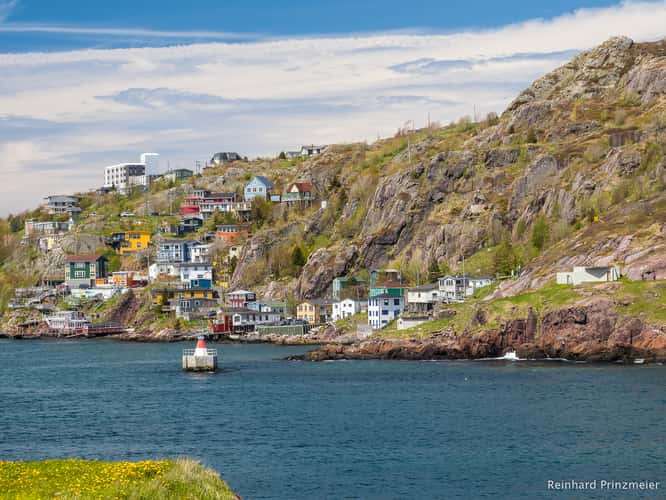 St. John's Colorful Houses