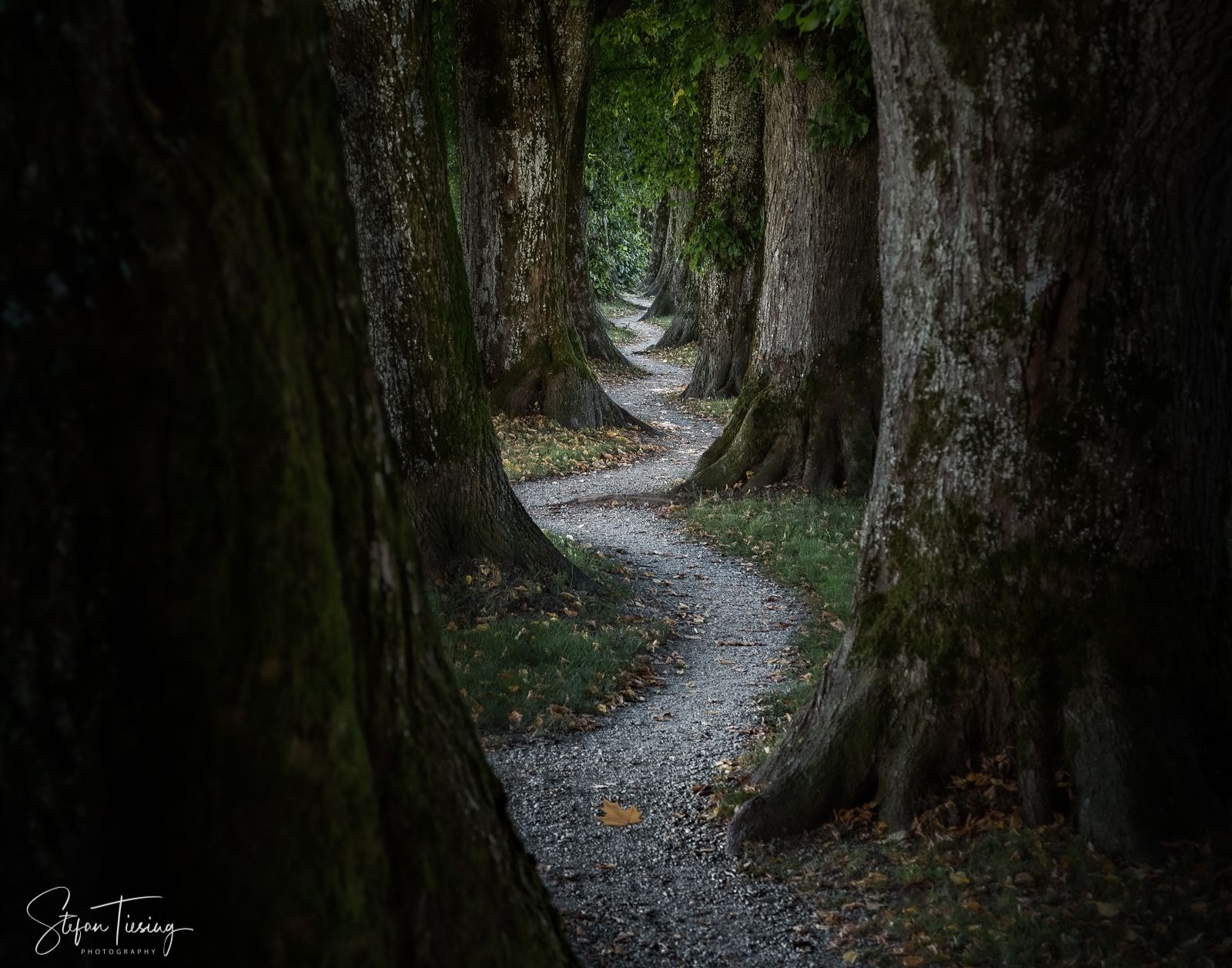 Steindlweg, Germany