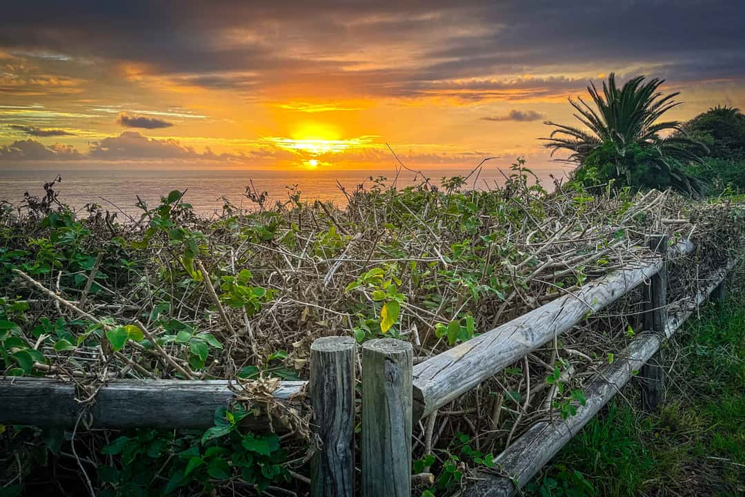 Mona Vale Headland, Mona Vale, Sydney NSW, Australia