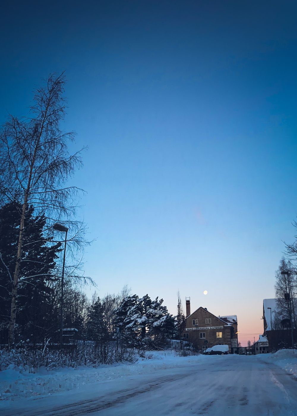 Sunrise over the tree tops with a moon, Sweden