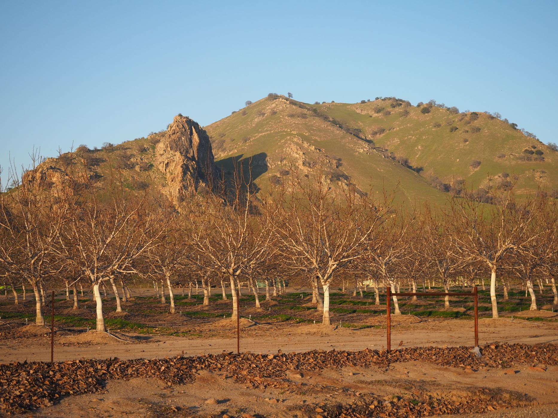 Sutter Buttes from Pass Road, USA