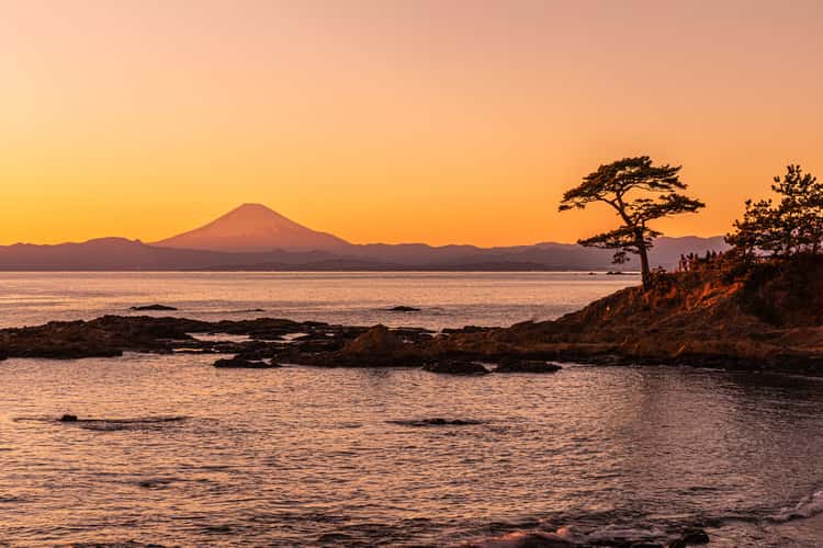 Tateishi Park, Kanagawa, Japan