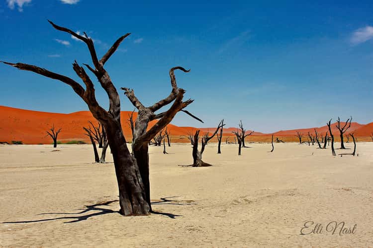 Desert landscape Deadvlei