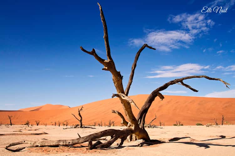 Desert landscape Deadvlei